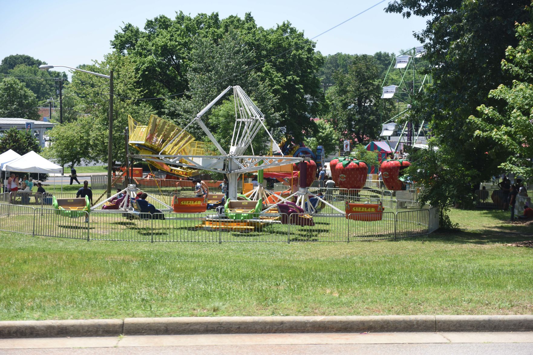 Festival in the Park